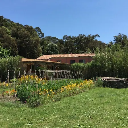 Le Manoir De Port-cros *