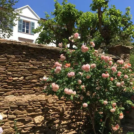 Le Manoir De Port-cros فندق بورت كروس