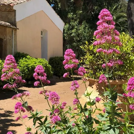 Le Manoir De Szálloda Port-Cros